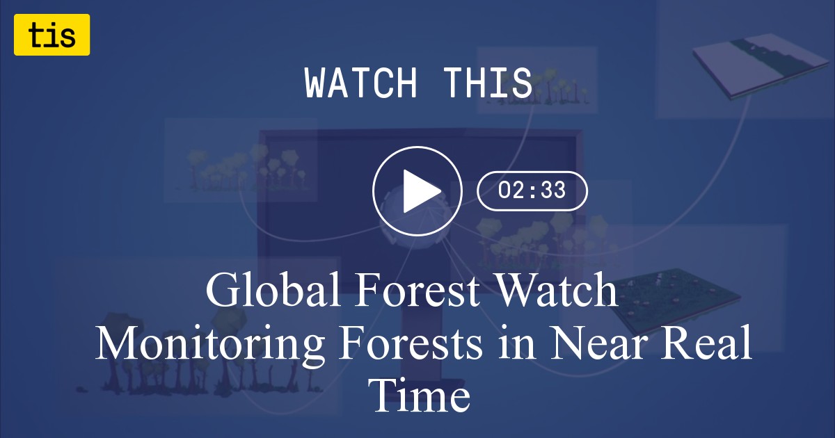 Global Forest Watch | Monitoring Forests in Near Real Time - the ...